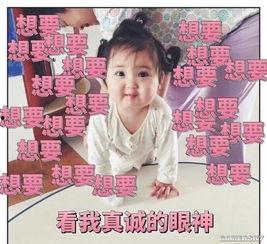 吃瓜遇到吵架视频大全下载,视频大全下载解析