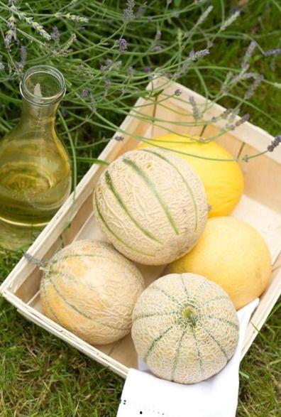 二瓜怎么吃才好吃呢视频,视频教你轻松解锁最佳食用技巧