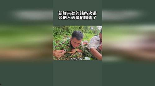 瓜哥吃瓜大表哥抓鱼视频,欢乐时光，趣味盎然