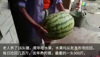 看吃瓜的群众视频,视频中的热点事件幕后真相
