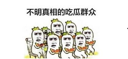 学员吃瓜群众视频,学员视角下的视频盛宴
