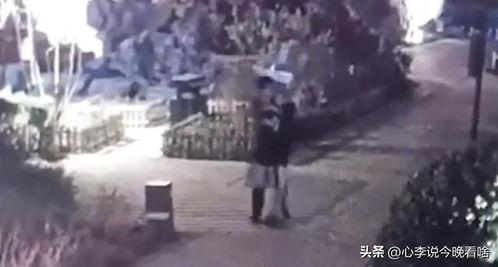 理性吃瓜视频完整版,揭秘网络热点背后的真相与思考