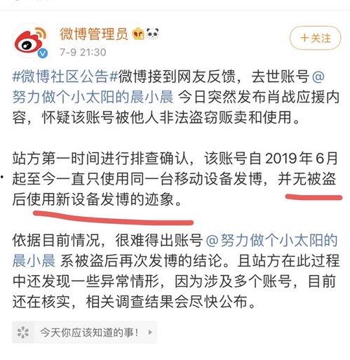 临安吃瓜事件始末视频,一场网络舆论的风暴与反思