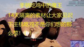 吃鸡小呆瓜视频,欢乐搞笑，带你领略游戏魅力