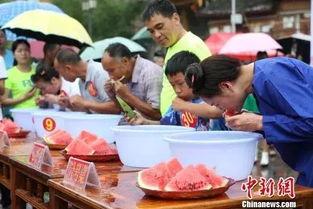 大赵寨吃瓜大赛视频完整版,一场视觉盛宴与味蕾狂欢的精彩对决
