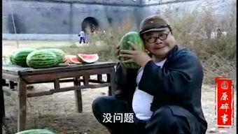 吃瓜看的搞笑视频大全,笑料横生！吃瓜群众必看的搞笑视频大盘点