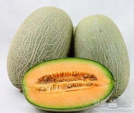 老虎吃哈密瓜视频