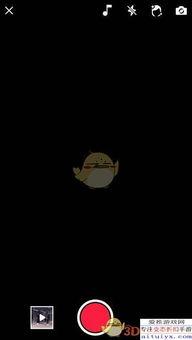 吃瓜视频制作教程下载,一键下载教程详解