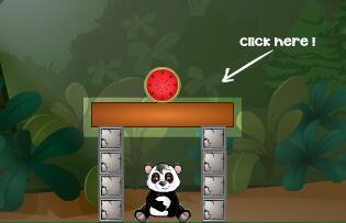 大熊猫吃瓜小视频大全,萌态十足！