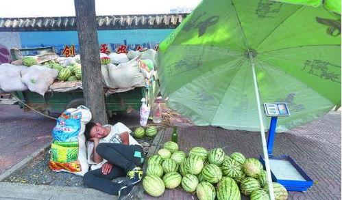 漯河临颍县吃瓜事件视频,一场引发热议的网络视频风波