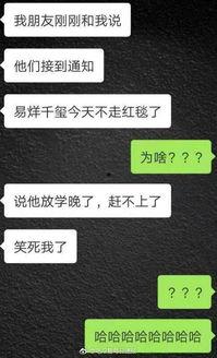 每日爆料吃瓜视频大全下载,吃瓜视频大全，揭秘娱乐圈幕后故事