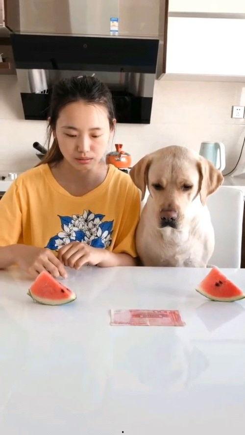 近期热门吃瓜视频大全,全网热议！近期热门吃瓜视频大盘点