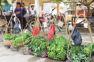 网红摆摊吃瓜视频,揭秘街头美食背后的故事