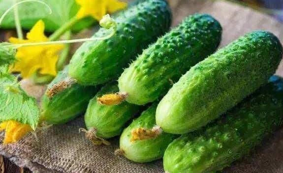 吃瓜视频有什么危险,揭秘吃瓜视频背后的潜在风险与防范措施