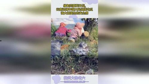 云南大妈在线吃瓜视频,揭秘网络红人幕后生活