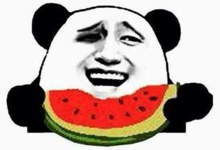 台湾最强吃瓜群众视频,视频背后的热议焦点