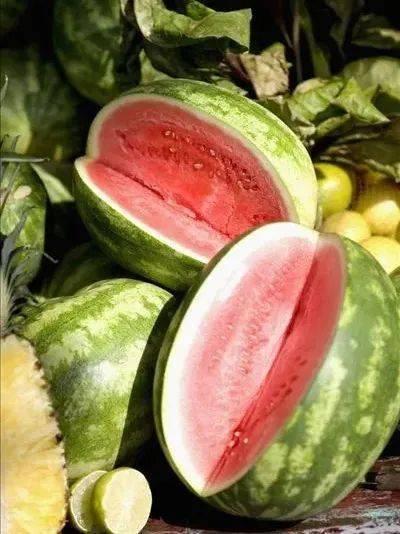 1元吃瓜视频,短视频时代的味蕾诱惑