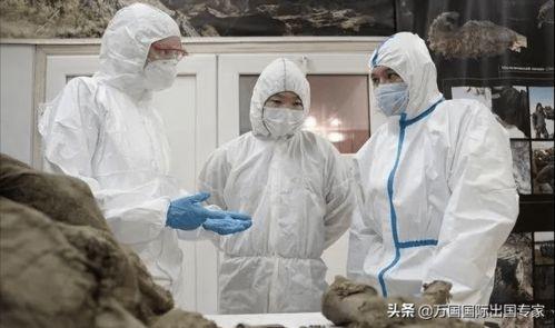 群众科学家吃瓜视频,吃瓜视频背后的科学奥秘